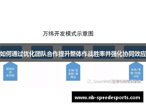 如何通过优化团队合作提升整体作战胜率并强化协同效应