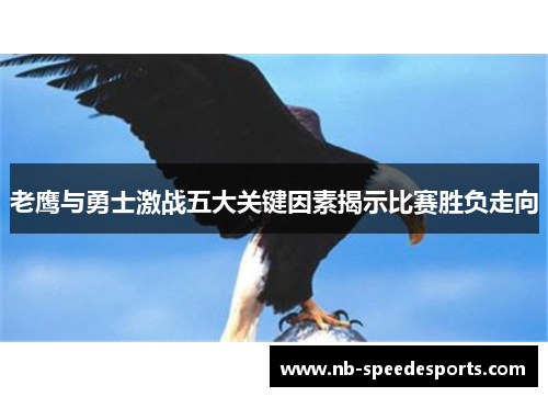 老鹰与勇士激战五大关键因素揭示比赛胜负走向